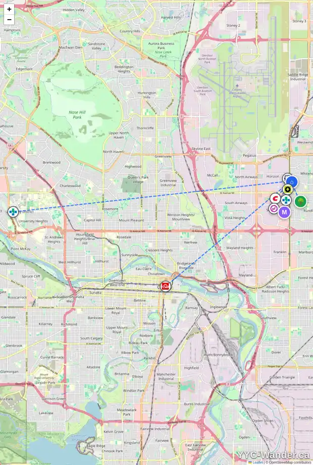 Daily accessibility map for 116 WHITAKER CL NE, Calgary showing nearby schools, grocery stores, parks, LRT stations and nearby amenities