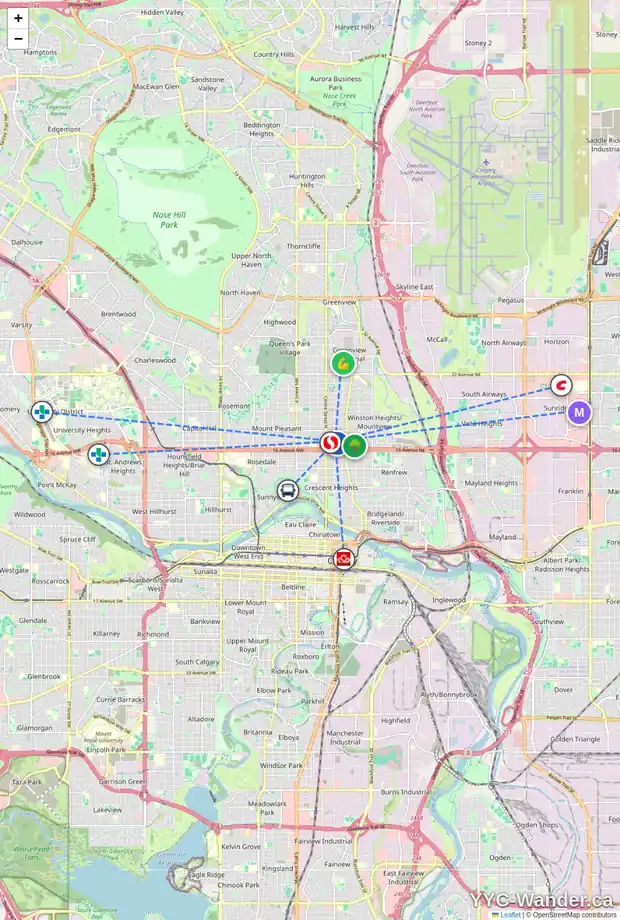 Daily accessibility map for 205 18 AV NE, Calgary showing nearby schools, grocery stores, parks, LRT stations and nearby amenities