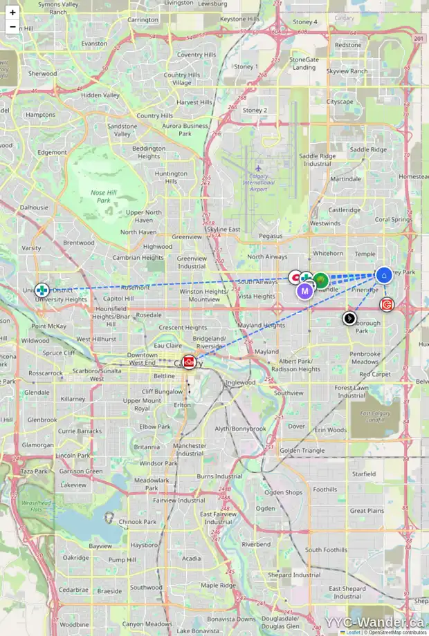 Daily accessibility map for 1011 PINECLIFF DR NE, Calgary showing nearby schools, grocery stores, parks, LRT stations and nearby amenities