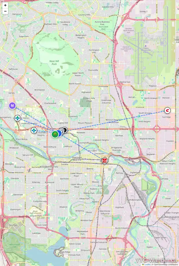 Daily accessibility map for 1407 19 ST NW, Calgary showing nearby schools, grocery stores, parks, LRT stations and nearby amenities