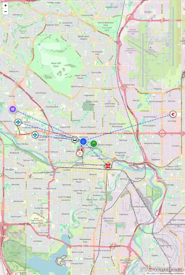 Daily accessibility map for 1155 9 ST NW, Calgary showing nearby schools, grocery stores, parks, LRT stations and nearby amenities