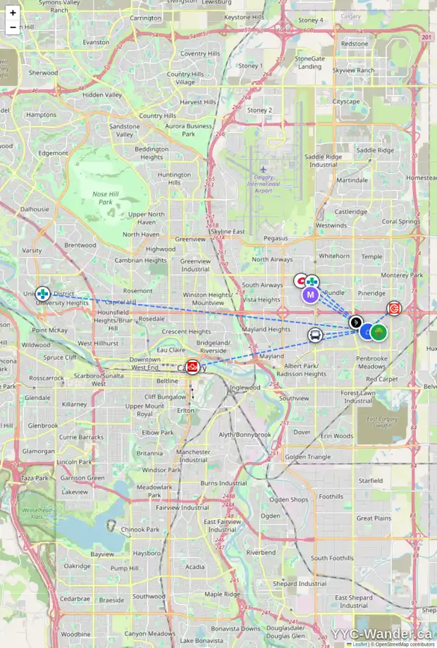 Daily accessibility map for 703 MADEIRA DR NE, Calgary showing nearby schools, grocery stores, parks, LRT stations and nearby amenities