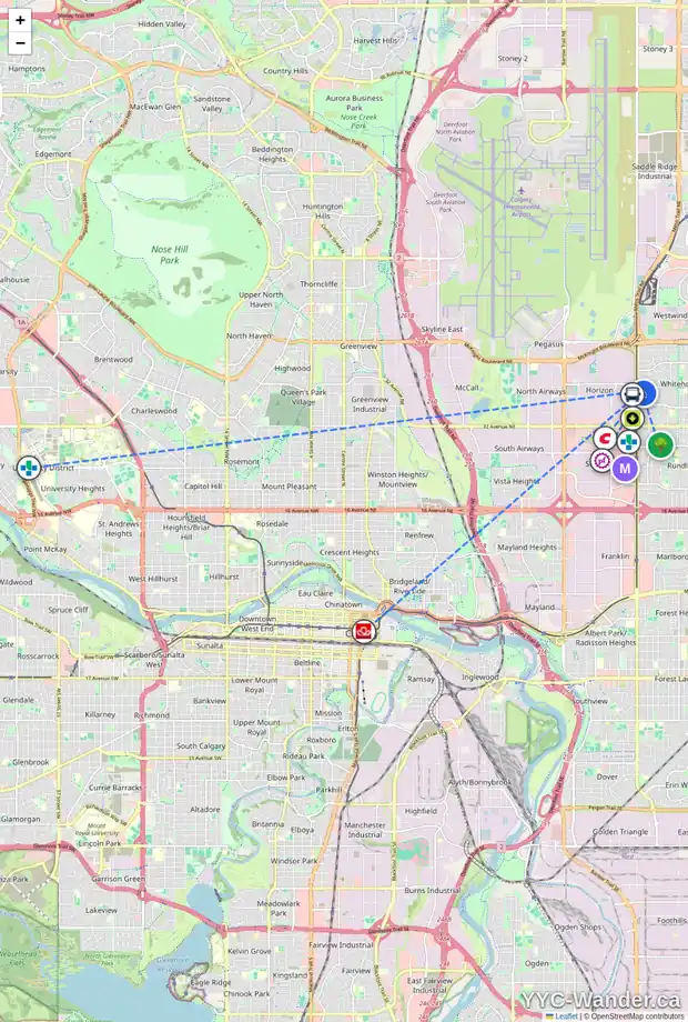 Daily accessibility map for 60 WHITAKER CL NE, Calgary showing nearby schools, grocery stores, parks, LRT stations and nearby amenities