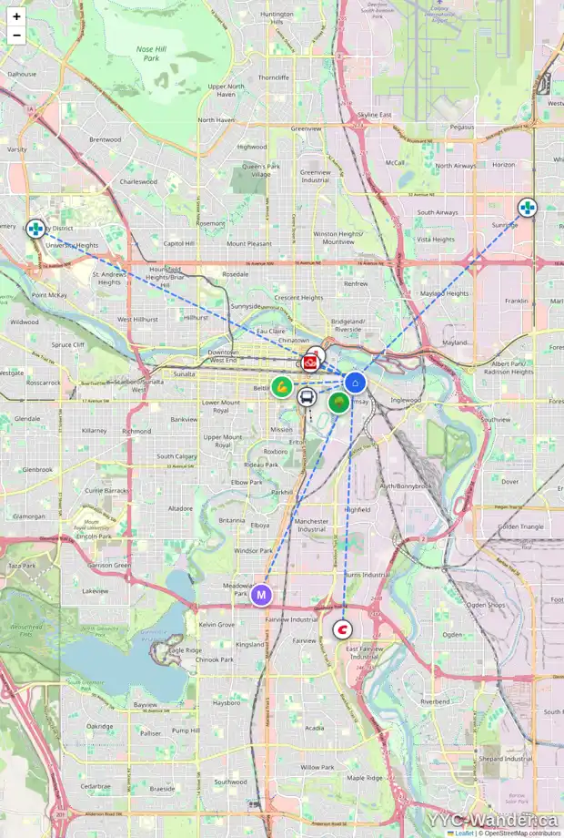 Daily accessibility map for 1005 8 ST SE, Calgary showing nearby schools, grocery stores, parks, LRT stations and nearby amenities