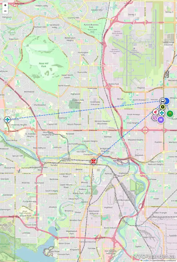 Daily accessibility map for 203 WHITAKER CL NE, Calgary showing nearby schools, grocery stores, parks, LRT stations and nearby amenities