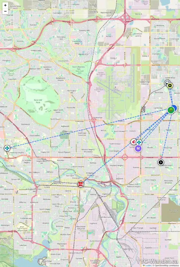 Daily accessibility map for 181 FALTON DR NE, Calgary showing nearby schools, grocery stores, parks, LRT stations and nearby amenities