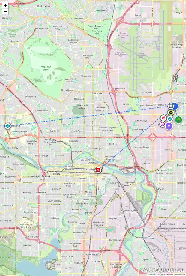 Daily accessibility map for 207 WHITAKER CL NE, Calgary showing nearby schools, grocery stores, parks, LRT stations and nearby amenities