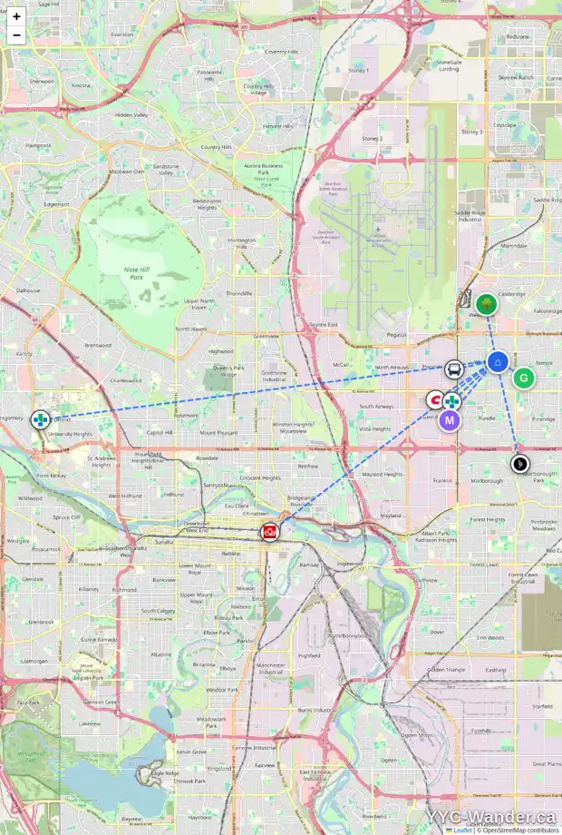 Daily accessibility map for 4208 46 ST NE, Calgary showing nearby schools, grocery stores, parks, LRT stations and nearby amenities