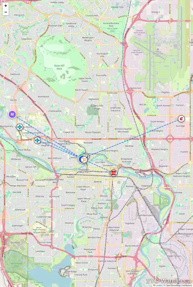 Daily accessibility map for 314 11 ST NW, Calgary showing nearby schools, grocery stores, parks, LRT stations and nearby amenities