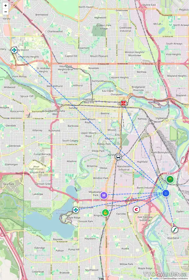 Daily accessibility map for 47N 203 LYNNVIEW RD SE, Calgary showing nearby schools, grocery stores, parks, LRT stations and nearby amenities