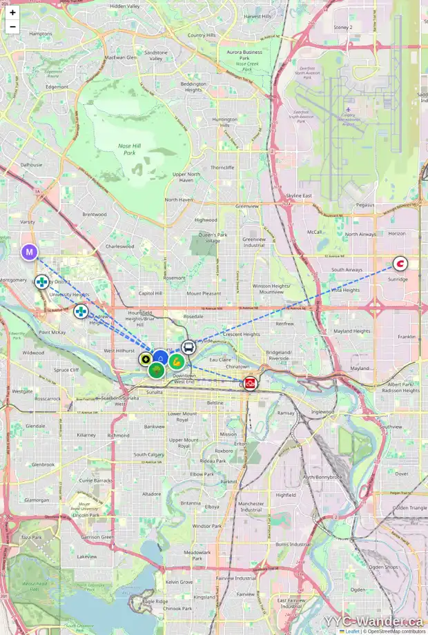 Daily accessibility map for 124 16 ST NW, Calgary showing nearby schools, grocery stores, parks, LRT stations and nearby amenities