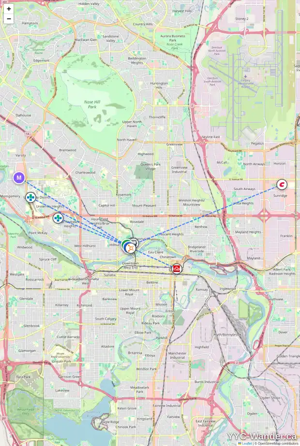 Daily accessibility map for 319 10A ST NW, Calgary showing nearby schools, grocery stores, parks, LRT stations and nearby amenities