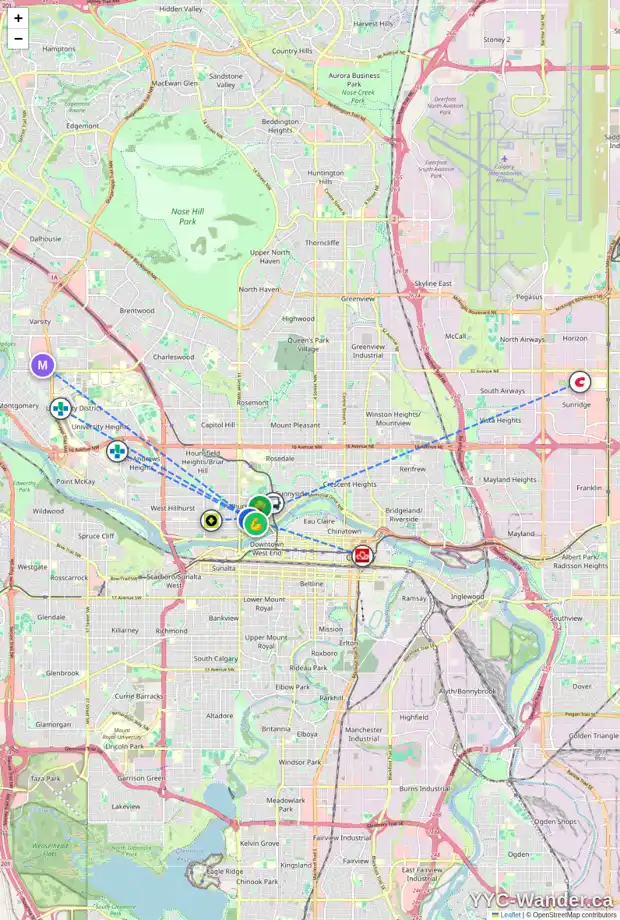 Daily accessibility map for 113 12 ST NW, Calgary showing nearby schools, grocery stores, parks, LRT stations and nearby amenities