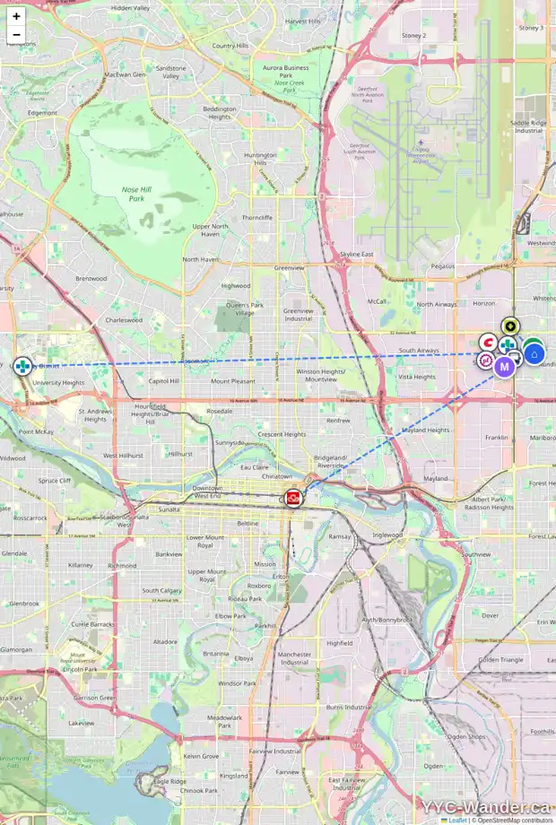 Daily accessibility map for 495 RUNDLELAWN WY NE, Calgary showing nearby schools, grocery stores, parks, LRT stations and nearby amenities
