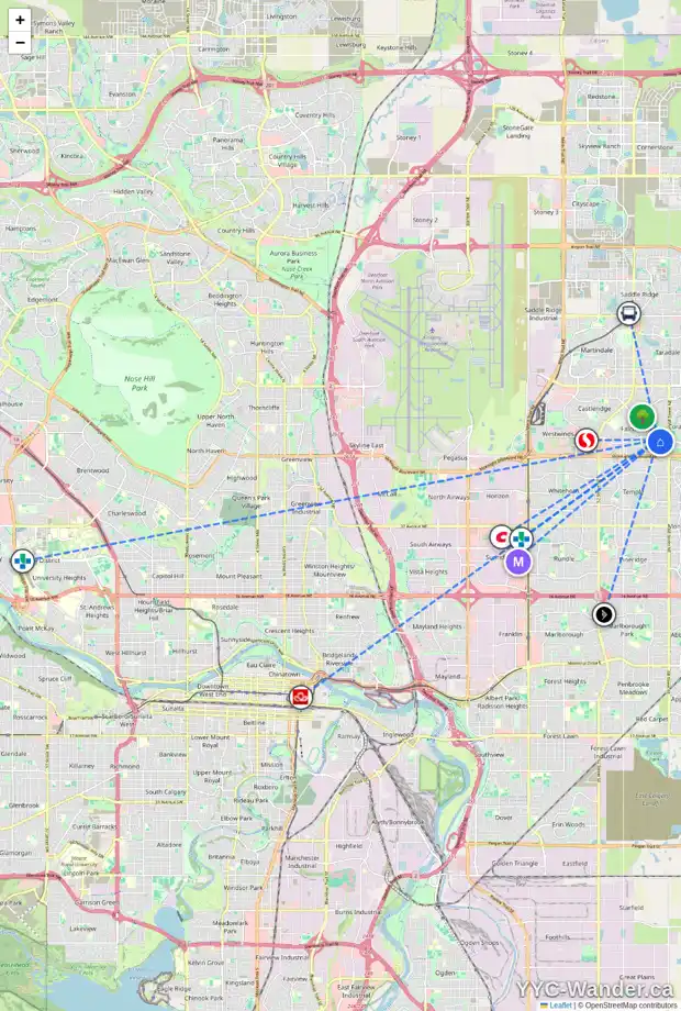 Daily accessibility map for 295 FALWOOD WY NE, Calgary showing nearby schools, grocery stores, parks, LRT stations and nearby amenities