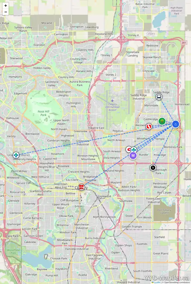 Daily accessibility map for 246 CORAL SPRINGS LD NE, Calgary showing nearby schools, grocery stores, parks, LRT stations and nearby amenities