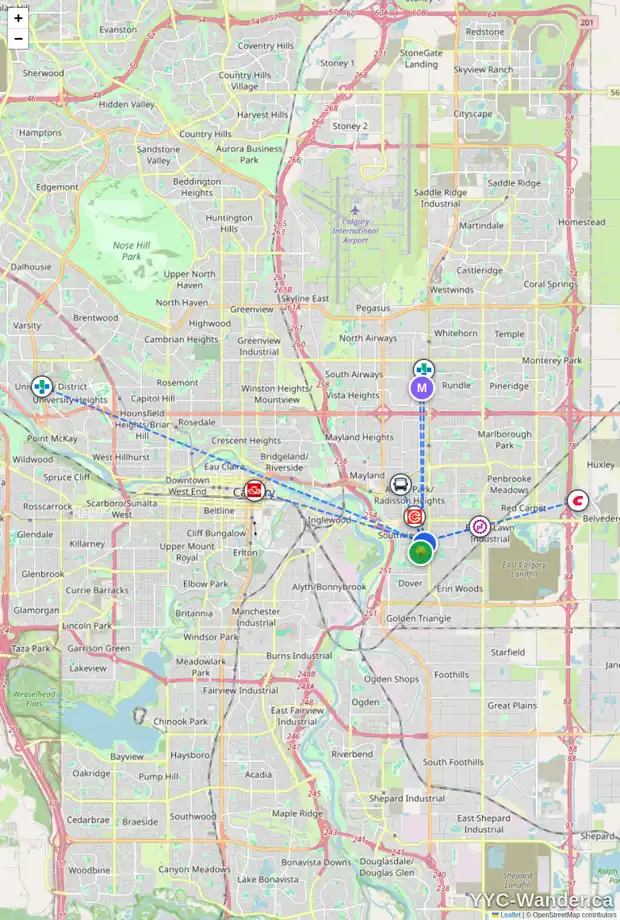 Daily accessibility map for 2414 PINEWOOD DR SE, Calgary showing nearby schools, grocery stores, parks, LRT stations and nearby amenities