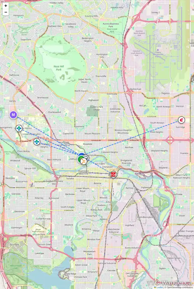 Daily accessibility map for 1140 5 AV NW, Calgary showing nearby schools, grocery stores, parks, LRT stations and nearby amenities