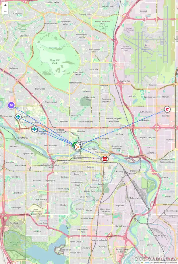 Daily accessibility map for 312 10A ST NW, Calgary showing nearby schools, grocery stores, parks, LRT stations and nearby amenities