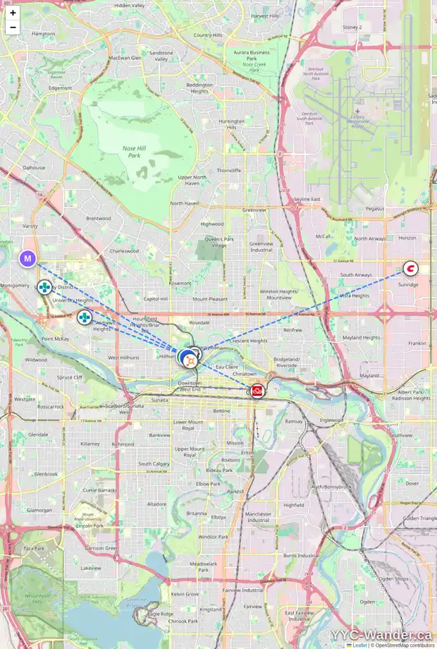 Daily accessibility map for 333 10A ST NW, Calgary showing nearby schools, grocery stores, parks, LRT stations and nearby amenities