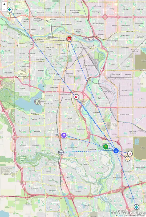 Daily accessibility map for 141 DOUGLASVIEW CO SE, Calgary showing nearby schools, grocery stores, parks, LRT stations and nearby amenities