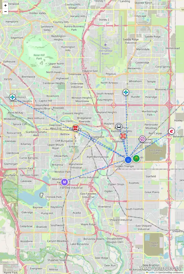 Daily accessibility map for 133 ERIN WOODS GR SE, Calgary showing nearby schools, grocery stores, parks, LRT stations and nearby amenities