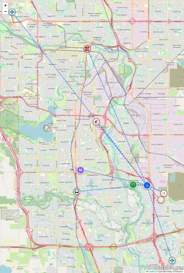 Daily accessibility map for 248 DOUGLAS WOODS HL SE, Calgary showing nearby schools, grocery stores, parks, LRT stations and nearby amenities