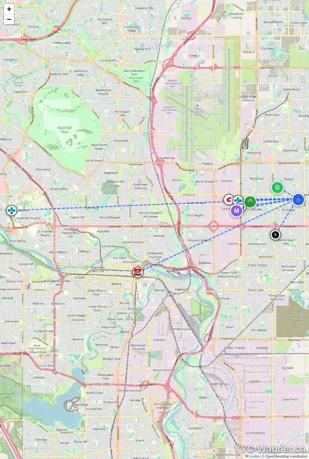 Daily accessibility map for 703 PINECLIFF RD NE, Calgary showing nearby schools, grocery stores, parks, LRT stations and nearby amenities