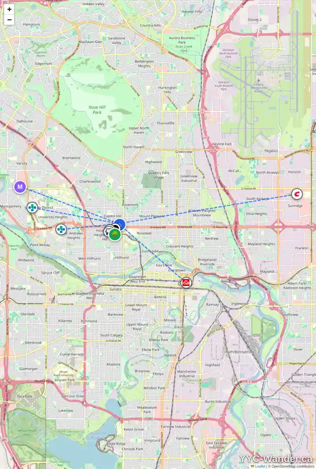 Daily accessibility map for 1602 17 AV NW, Calgary showing nearby schools, grocery stores, parks, LRT stations and nearby amenities