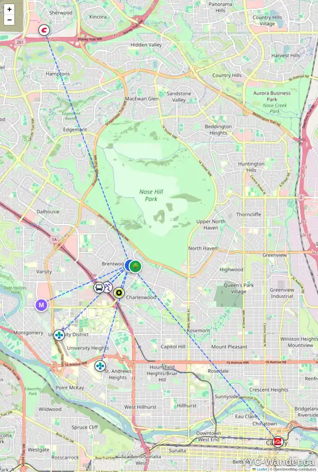 Daily accessibility map for 316 CAPRI AV NW, Calgary showing nearby schools, grocery stores, parks, LRT stations and nearby amenities
