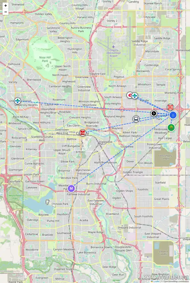 Daily accessibility map for 304 ABOYNE PL NE, Calgary showing nearby schools, grocery stores, parks, LRT stations and nearby amenities