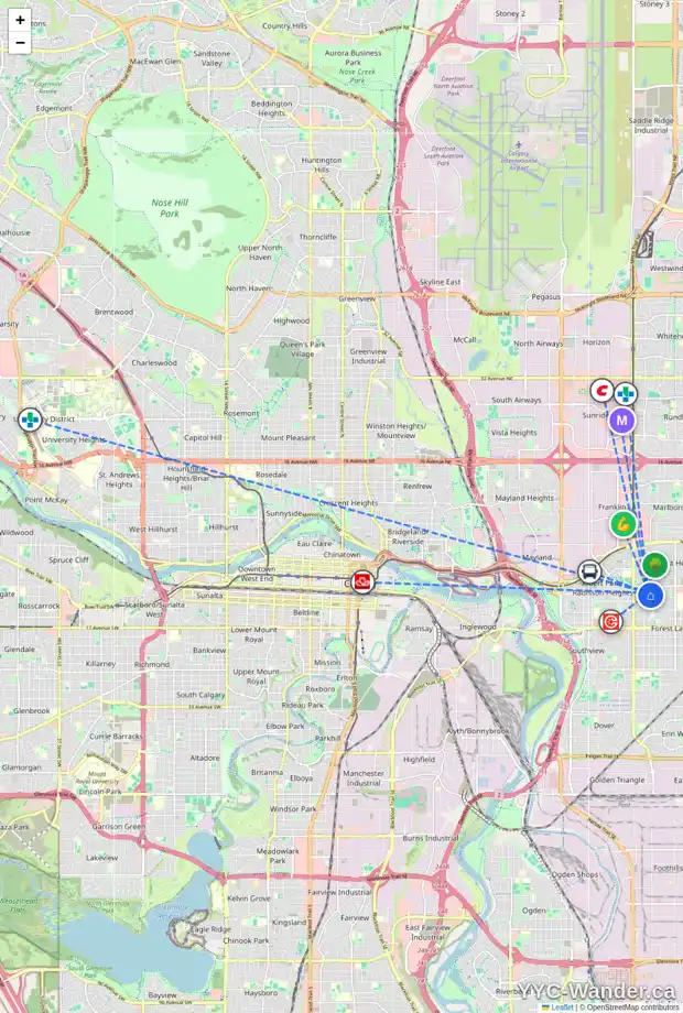 Daily accessibility map for 1101 39 ST SE, Calgary showing nearby schools, grocery stores, parks, LRT stations and nearby amenities