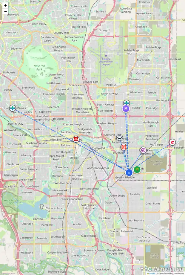 Daily accessibility map for 315 ERIN WOODS GR SE, Calgary showing nearby schools, grocery stores, parks, LRT stations and nearby amenities