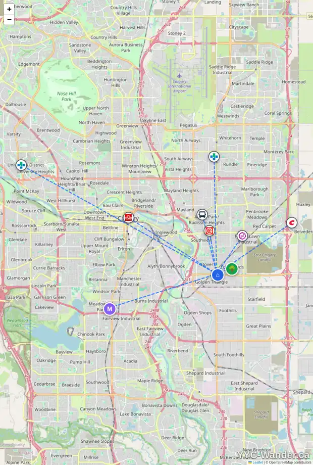 Daily accessibility map for 118 ERIN WOODS CI SE, Calgary showing nearby schools, grocery stores, parks, LRT stations and nearby amenities