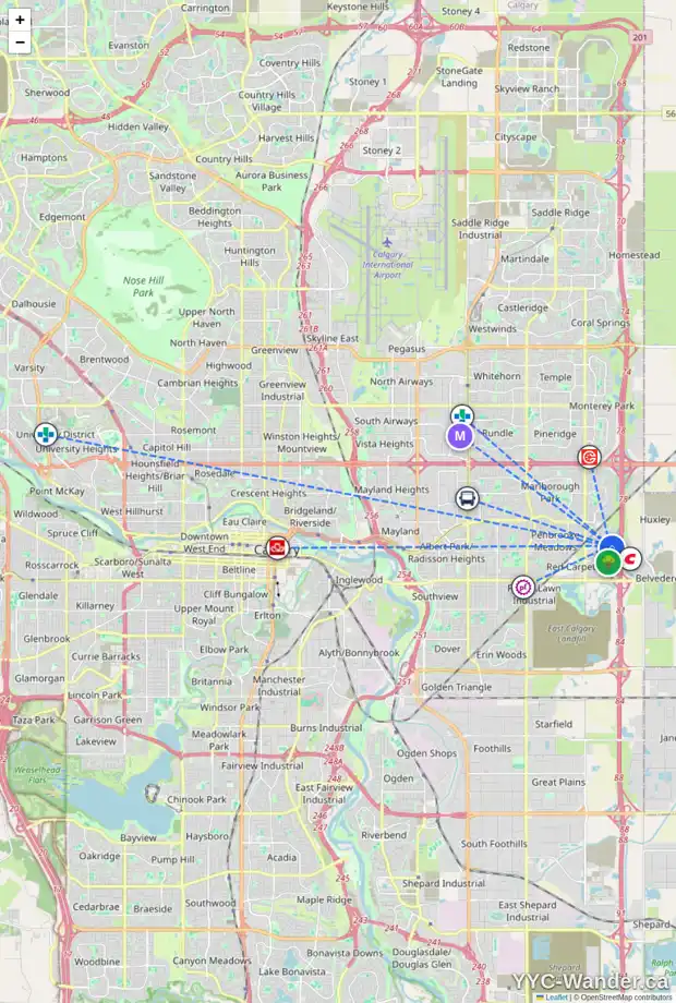 Daily accessibility map for 339 APPLEWOOD DR SE, Calgary showing nearby schools, grocery stores, parks, LRT stations and nearby amenities