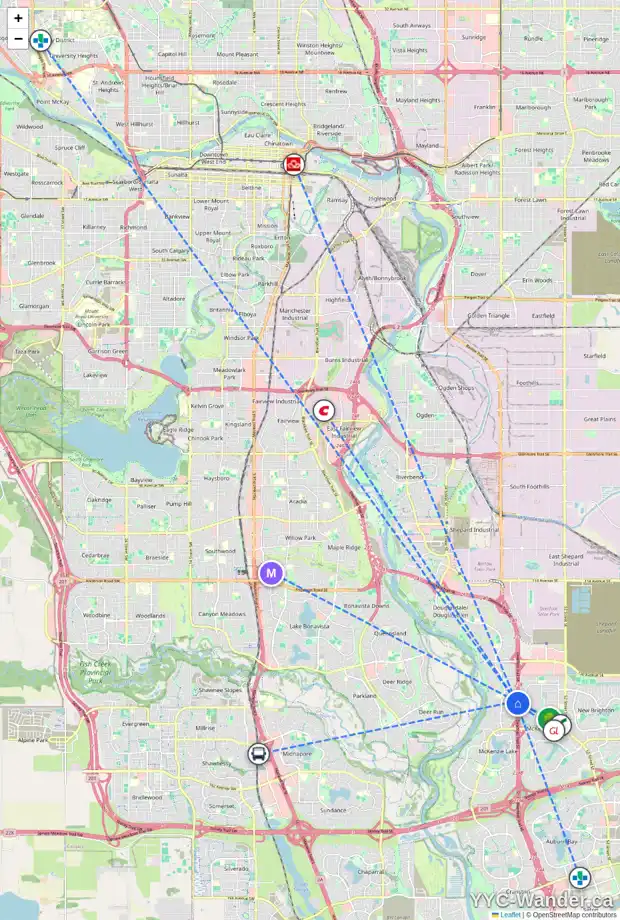 Daily accessibility map for 132 MT ALLAN CI SE, Calgary showing nearby schools, grocery stores, parks, LRT stations and nearby amenities
