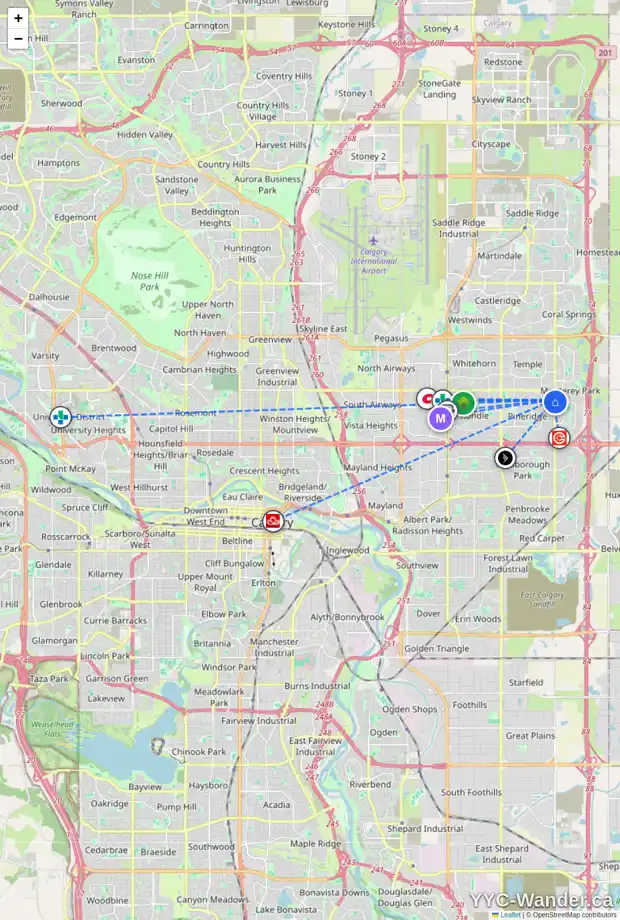 Daily accessibility map for 951 PINECLIFF DR NE, Calgary showing nearby schools, grocery stores, parks, LRT stations and nearby amenities