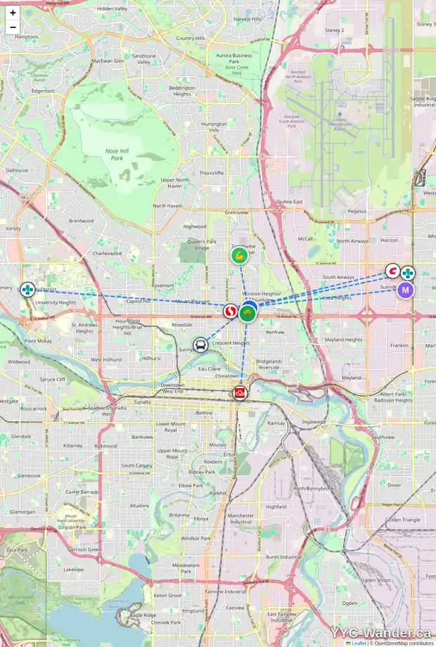 Daily accessibility map for 445 19 AV NE, Calgary showing nearby schools, grocery stores, parks, LRT stations and nearby amenities