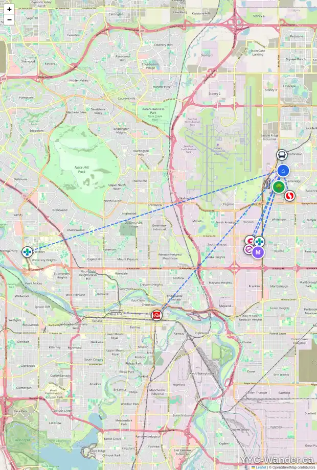 Daily accessibility map for 141 MARTINGLEN WY NE, Calgary showing nearby schools, grocery stores, parks, LRT stations and nearby amenities