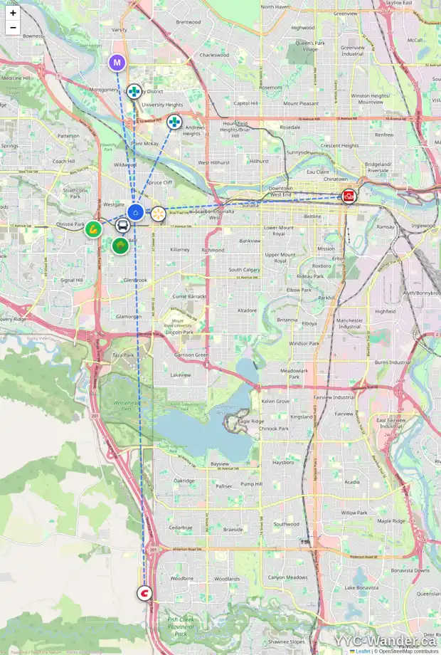 Daily accessibility map for 1138 43 ST SW, Calgary showing nearby schools, grocery stores, parks, LRT stations and nearby amenities