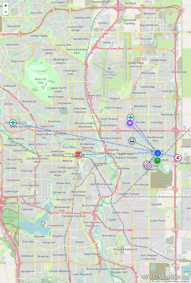 Daily accessibility map for 216 PENSVILLE CL SE, Calgary showing nearby schools, grocery stores, parks, LRT stations and nearby amenities