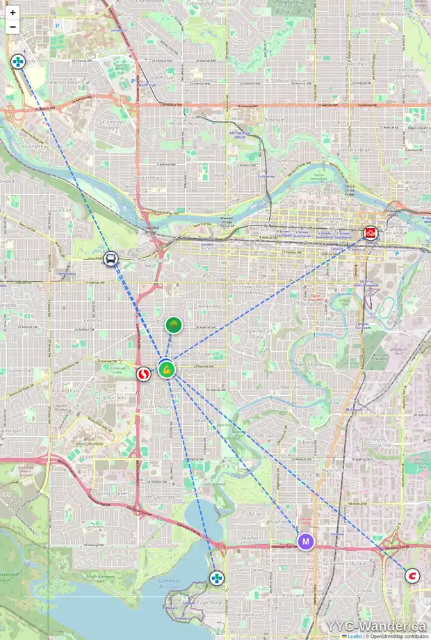 Daily accessibility map for 2128 33 AV SW, Calgary showing nearby schools, grocery stores, parks, LRT stations and nearby amenities
