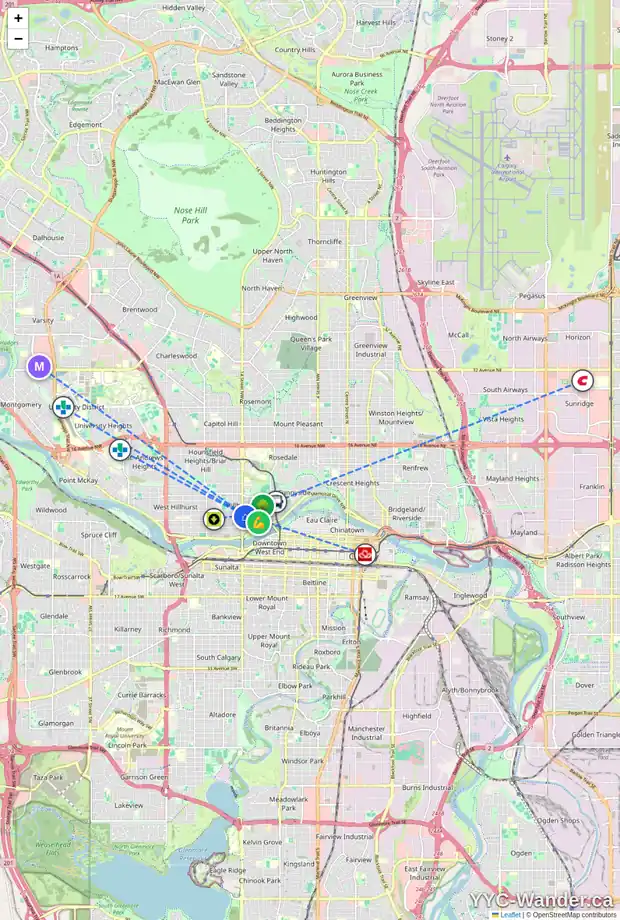 Daily accessibility map for 704 314 14 ST NW, Calgary showing nearby schools, grocery stores, parks, LRT stations and nearby amenities