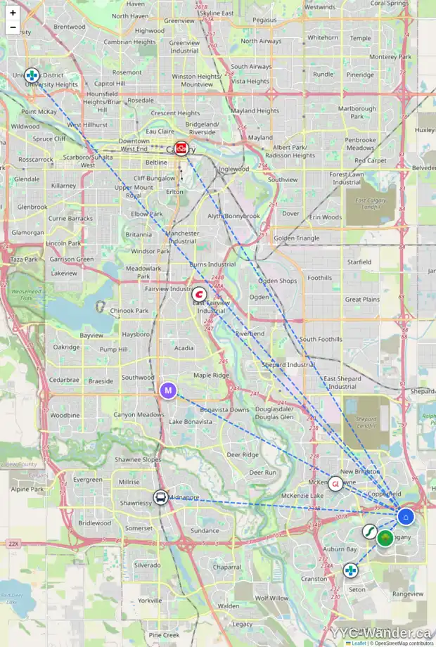 Daily accessibility map for 379 MAHOGANY BV SE, Calgary showing nearby schools, grocery stores, parks, LRT stations and nearby amenities