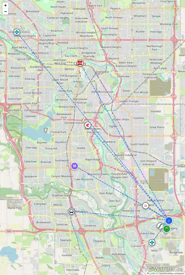 Daily accessibility map for 199 MAHOGANY GV SE, Calgary showing nearby schools, grocery stores, parks, LRT stations and nearby amenities