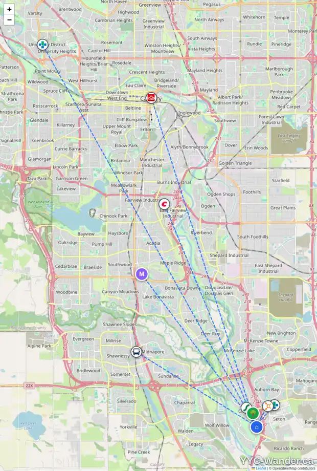 Daily accessibility map for 199 CRANFORD GR SE, Calgary showing nearby schools, grocery stores, parks, LRT stations and nearby amenities