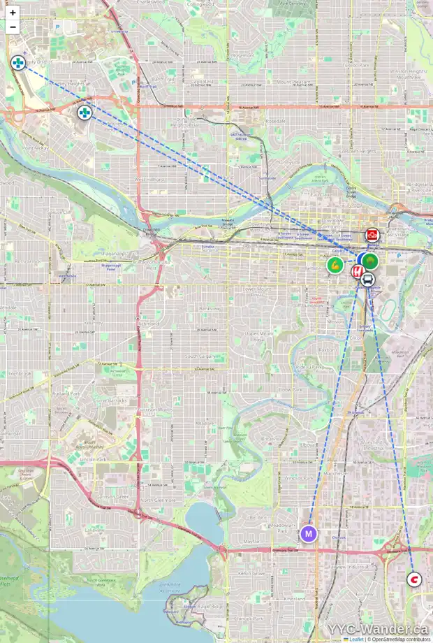 Daily accessibility map for 1003 225 11 AV SE, Calgary showing nearby schools, grocery stores, parks, LRT stations and nearby amenities