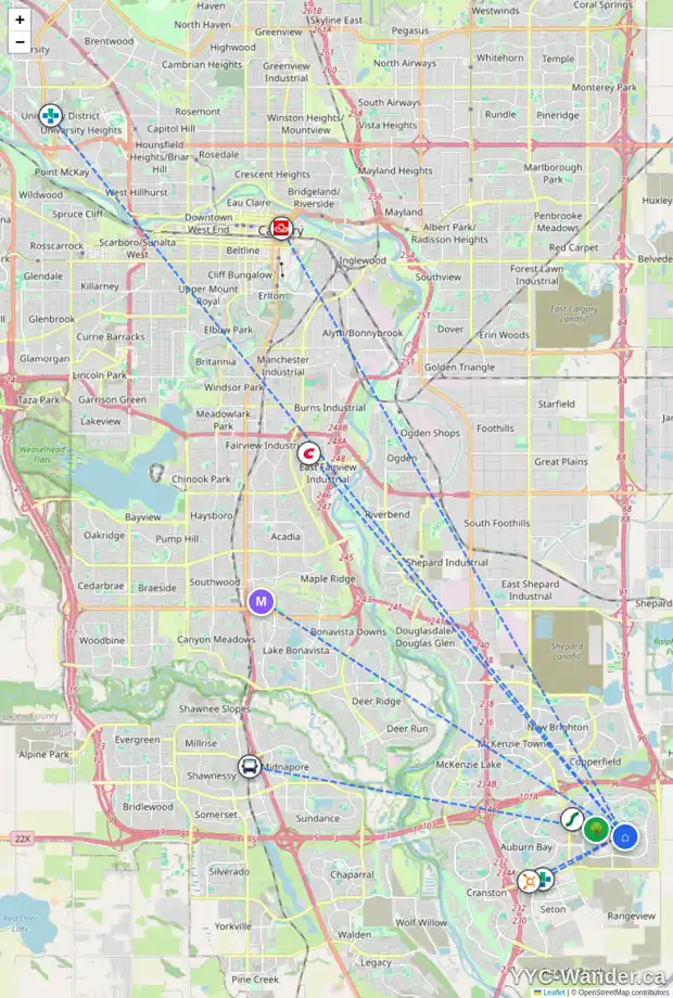 Daily accessibility map for 162 MASTERS CM SE, Calgary showing nearby schools, grocery stores, parks, LRT stations and nearby amenities