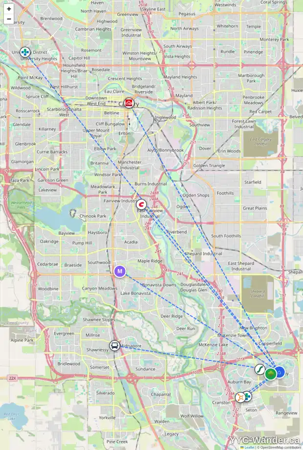 Daily accessibility map for 173 MASTERS CA SE, Calgary showing nearby schools, grocery stores, parks, LRT stations and nearby amenities
