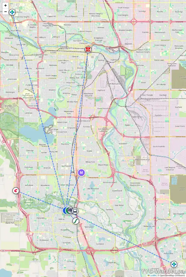 Daily accessibility map for 339 SHAWNEE BV SW, Calgary showing nearby schools, grocery stores, parks, LRT stations and nearby amenities